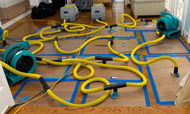 Professional Burst Pipe Water Damage technician working in Wyoming, MN